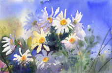 Daisies Kendra Art