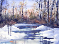 Winter Stream 21