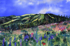 Sun Peaks Summer Vista Kendra Smith Artist