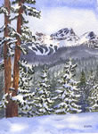 Whistler Ski Hill